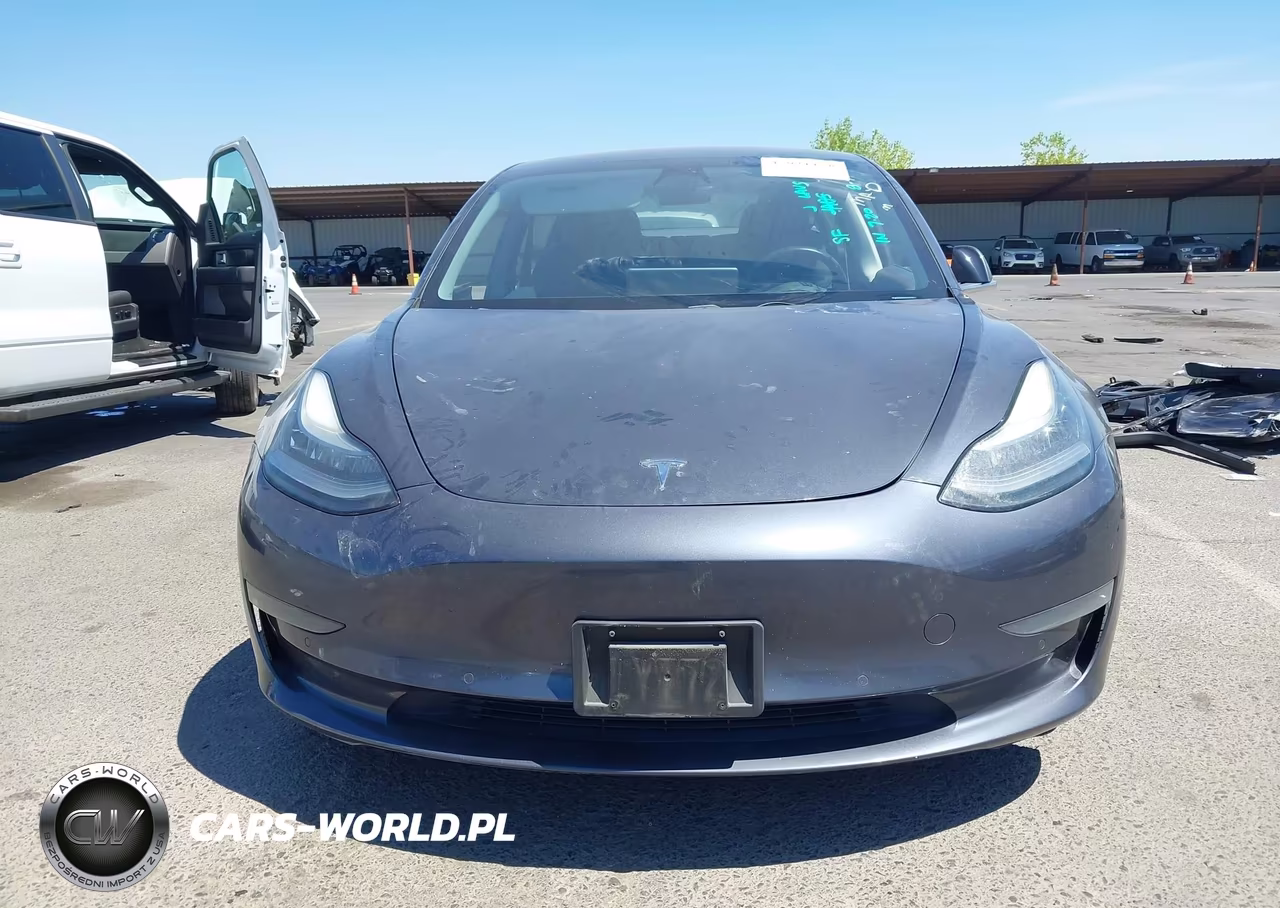 2019 Tesla Model 3 Long Range-Mid Range-Standard Range-Standard Range Plus VIN:5YJ3E1EA7KF447435 - 13