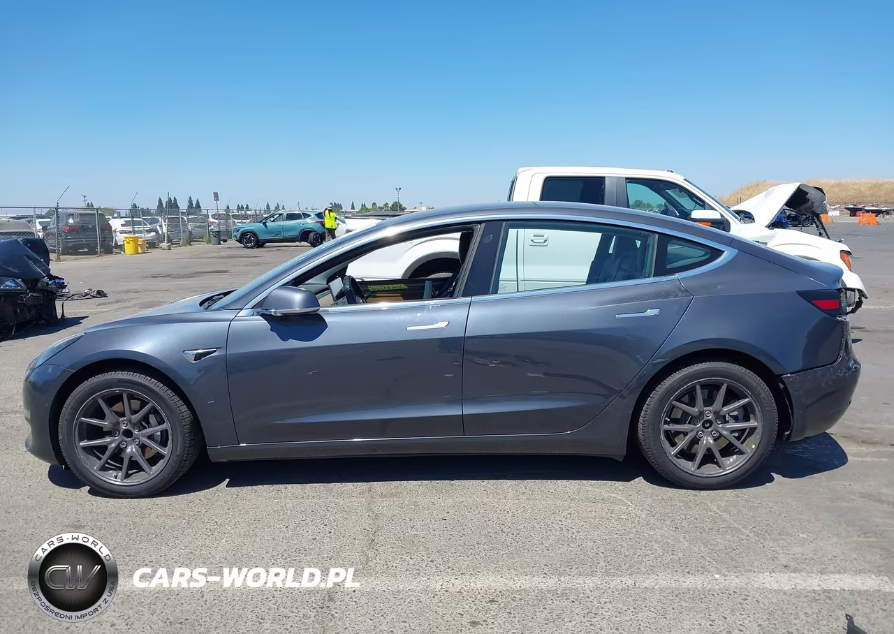 2019 Tesla Model 3 Long Range-Mid Range-Standard Range-Standard Range Plus VIN:5YJ3E1EA7KF447435 - 15