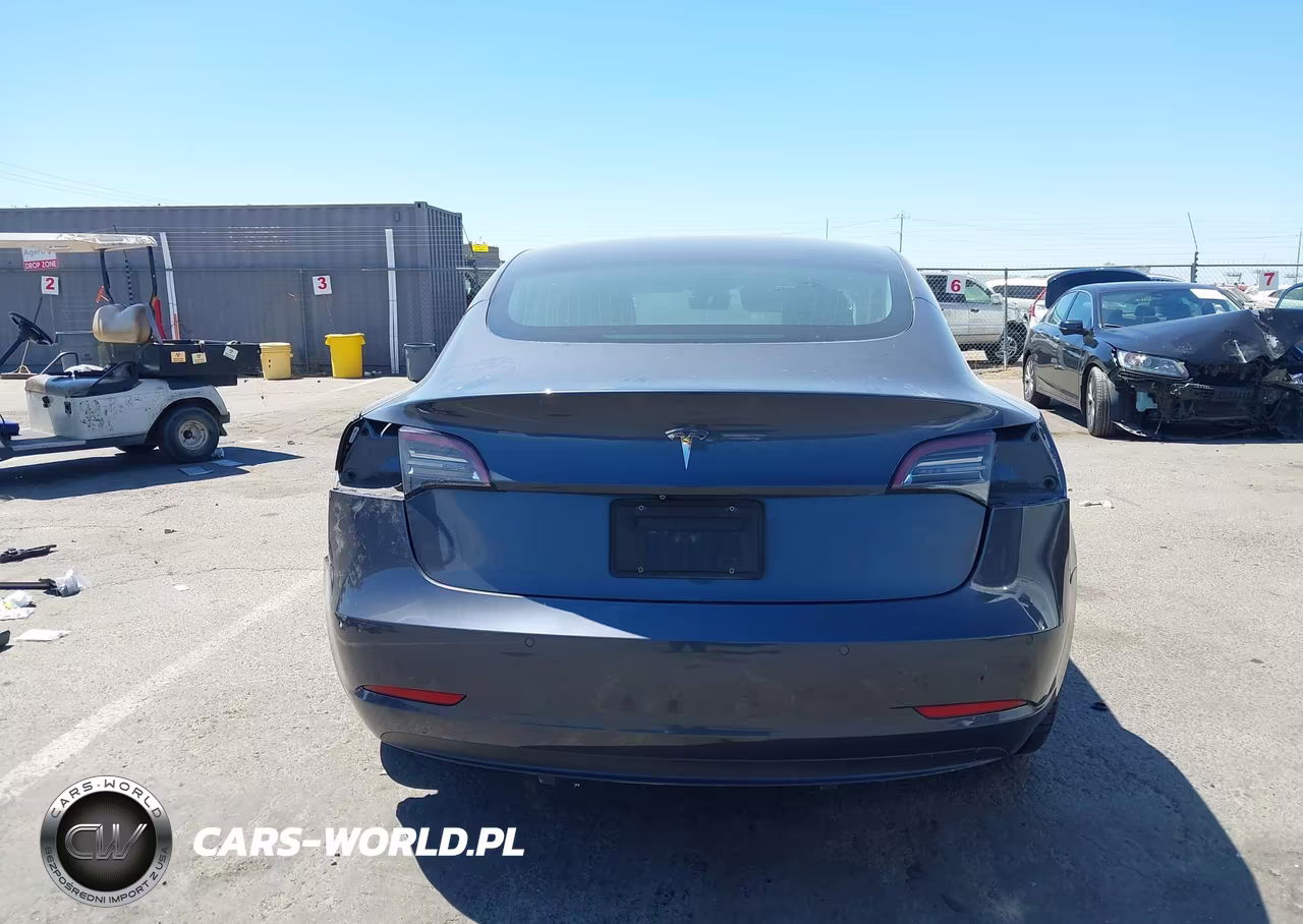 2019 Tesla Model 3 Long Range-Mid Range-Standard Range-Standard Range Plus VIN:5YJ3E1EA7KF447435 - 17