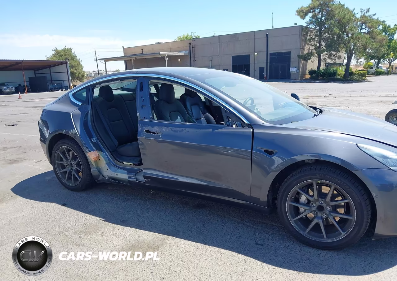 2019 Tesla Model 3 Long Range-Mid Range-Standard Range-Standard Range Plus VIN:5YJ3E1EA7KF447435 - 6