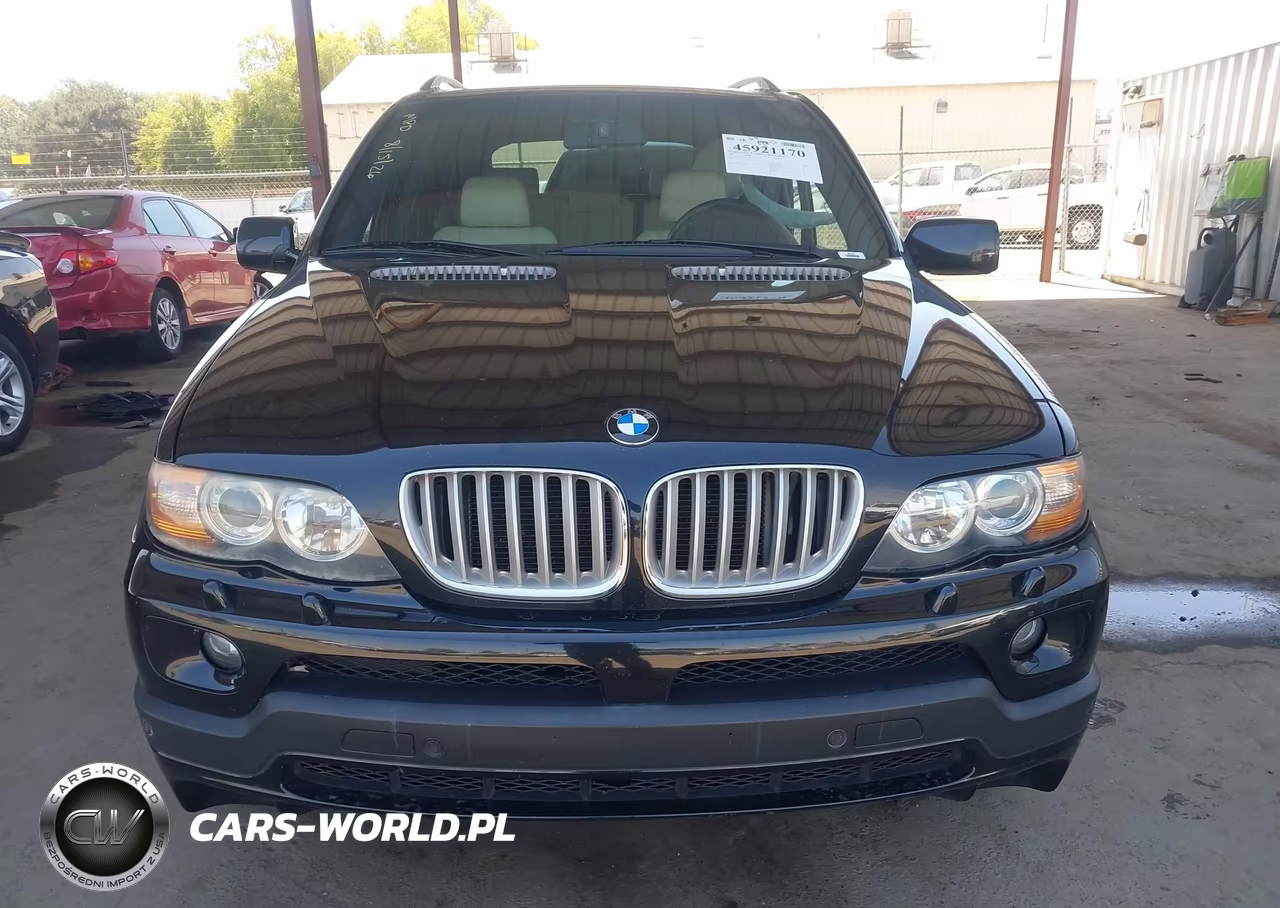 2006 BMW X5 4.8Is VIN:5UXFA93536LE84421 - 12