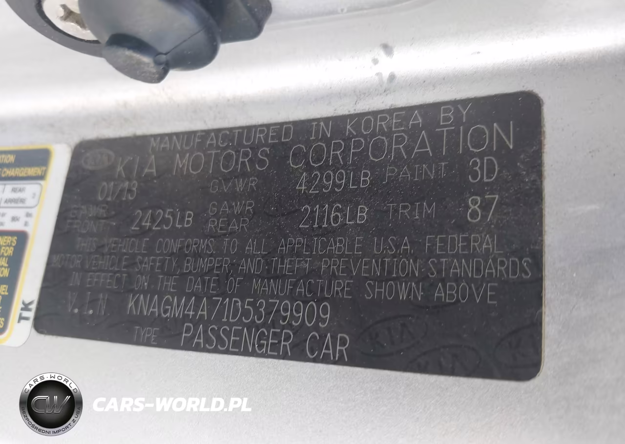 2013 Kia Optima Lx VIN:KNAGM4A71D5379909 - 9