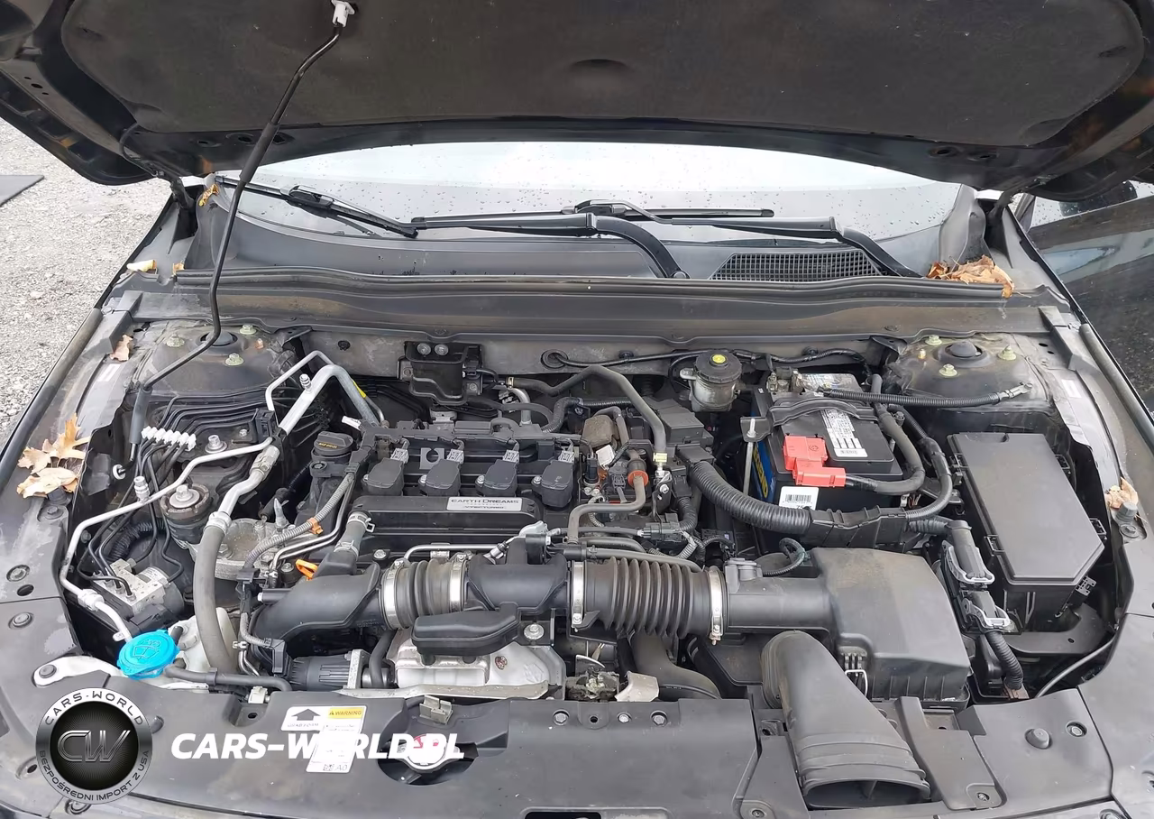 2019 Honda Accord Ex-L VIN:1HGCV1F5XKA164894 - 10