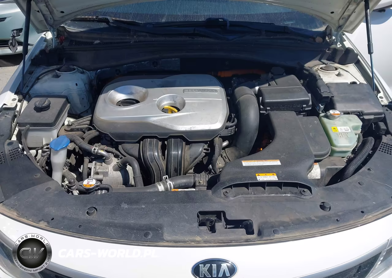 2017 Kia Optima Hybrid VIN:KNAGT4LE6H5013402 - 10
