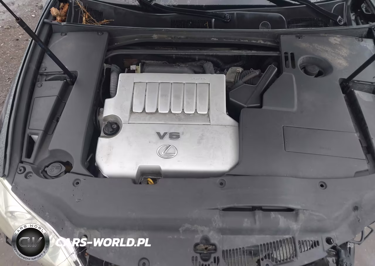 2009 Lexus Es 350 VIN:JTHBJ46G292338839 - 10