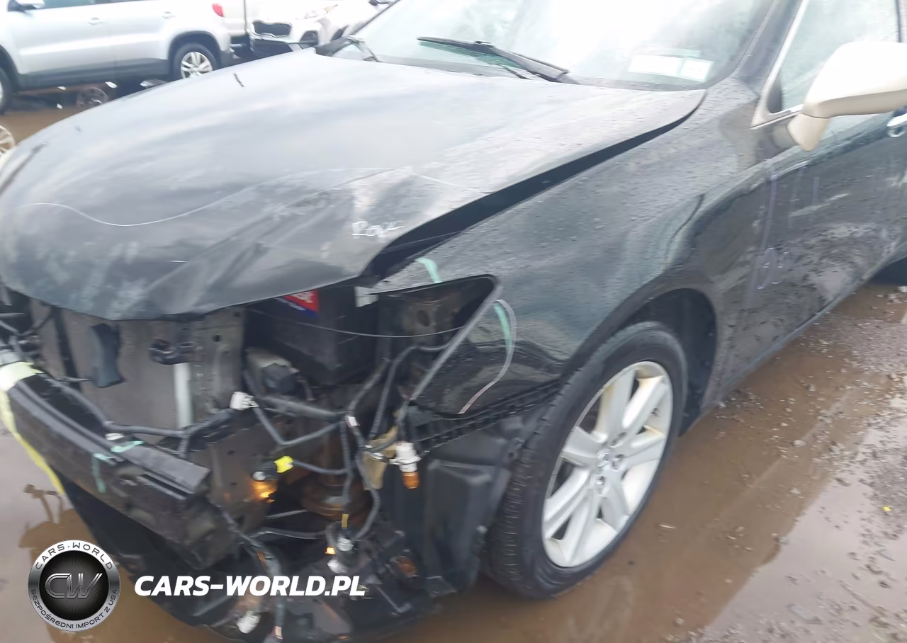 2009 Lexus Es 350 VIN:JTHBJ46G292338839 - 6