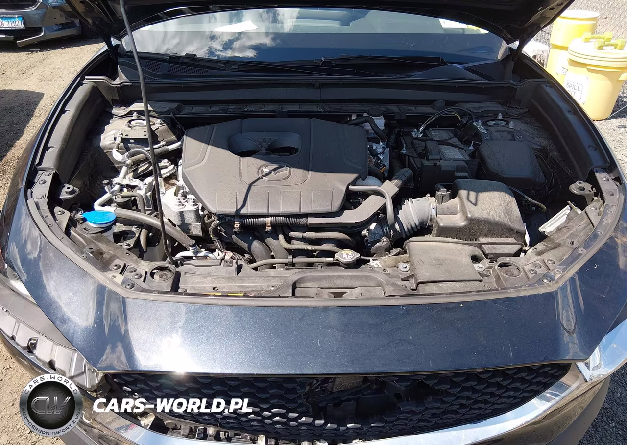 2025 Mazda Cx-30 2.5 S Select Sport VIN:3MVDMBBMXSM796630 - 10