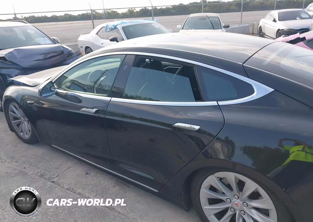 2017 Tesla Model S 100D-60D-75D-90D-P100D VIN:5YJSA1E2XHF229448 - 14