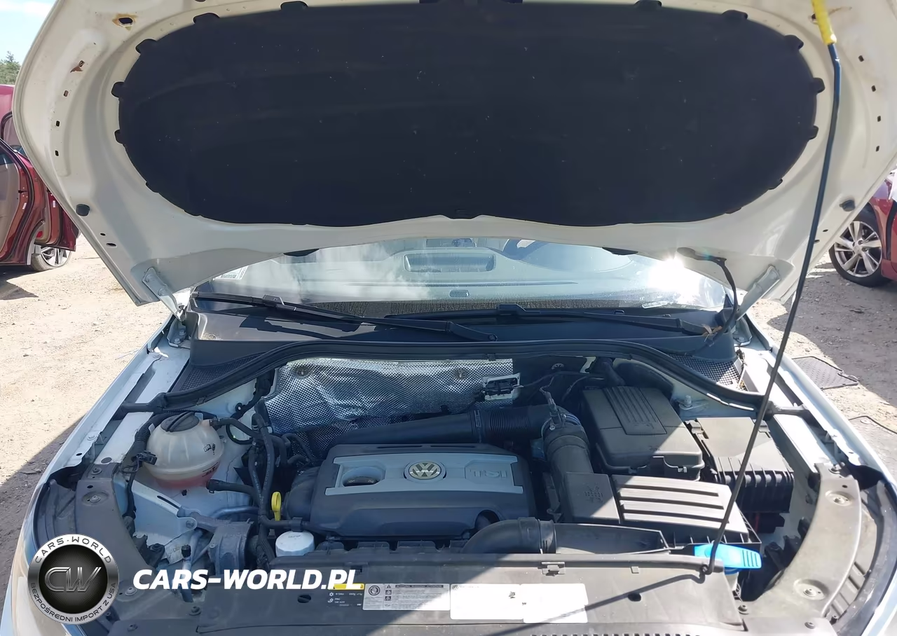 2017 Volkswagen Tiguan 2.0T-2.0T S VIN:WVGBV7AX2HK038503 - 10