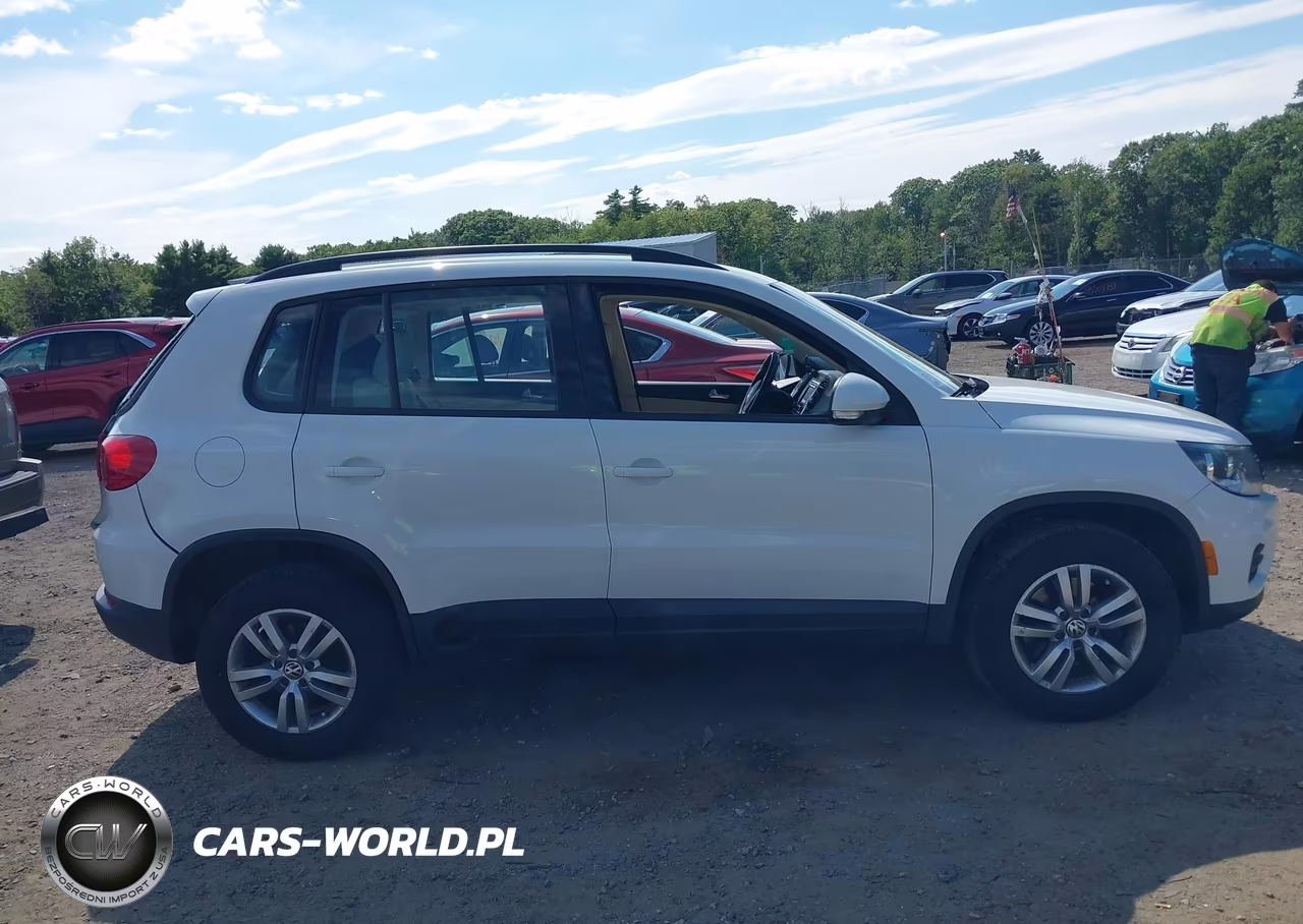 2017 Volkswagen Tiguan 2.0T-2.0T S VIN:WVGBV7AX2HK038503 - 13