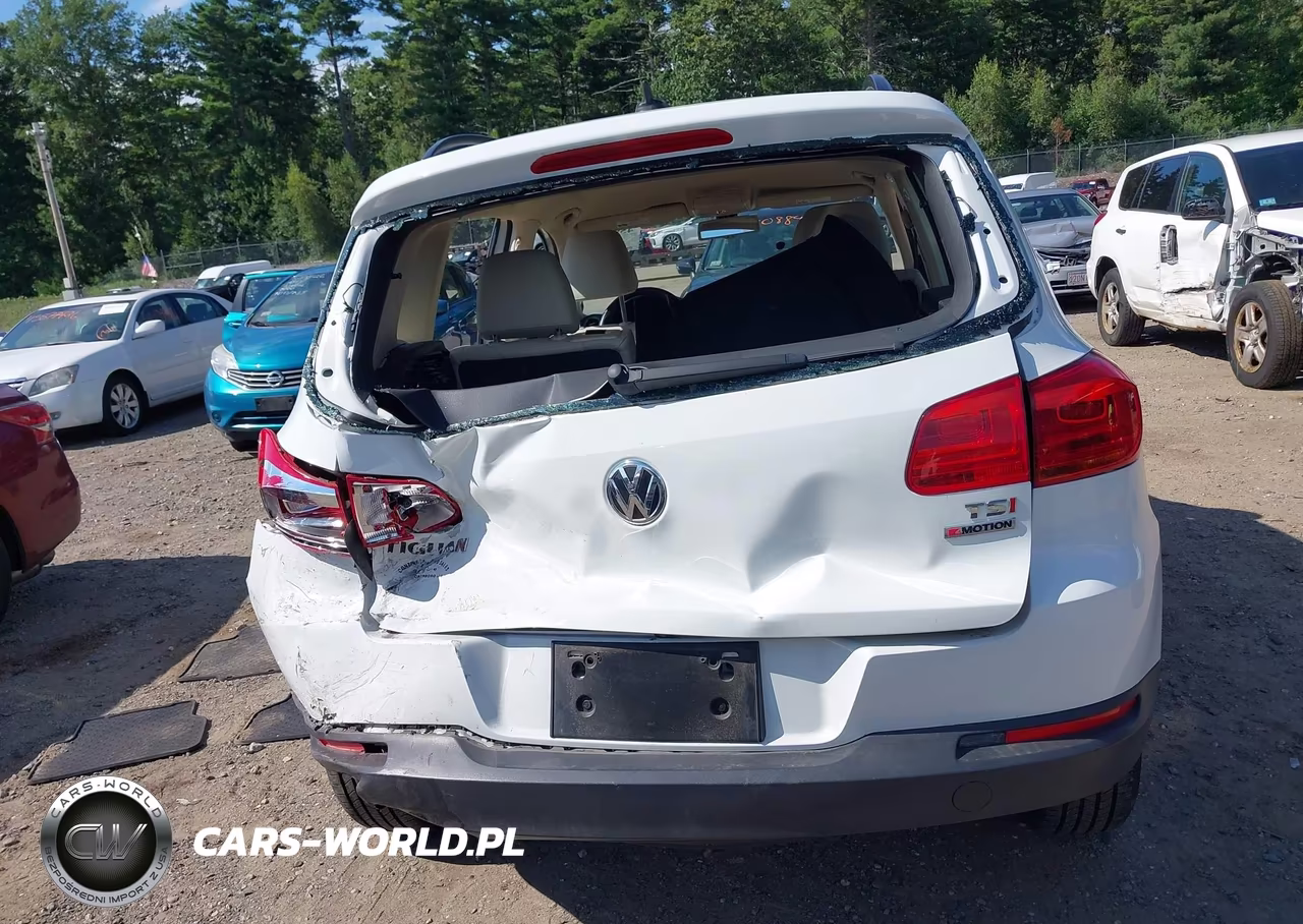 2017 Volkswagen Tiguan 2.0T-2.0T S VIN:WVGBV7AX2HK038503 - 16