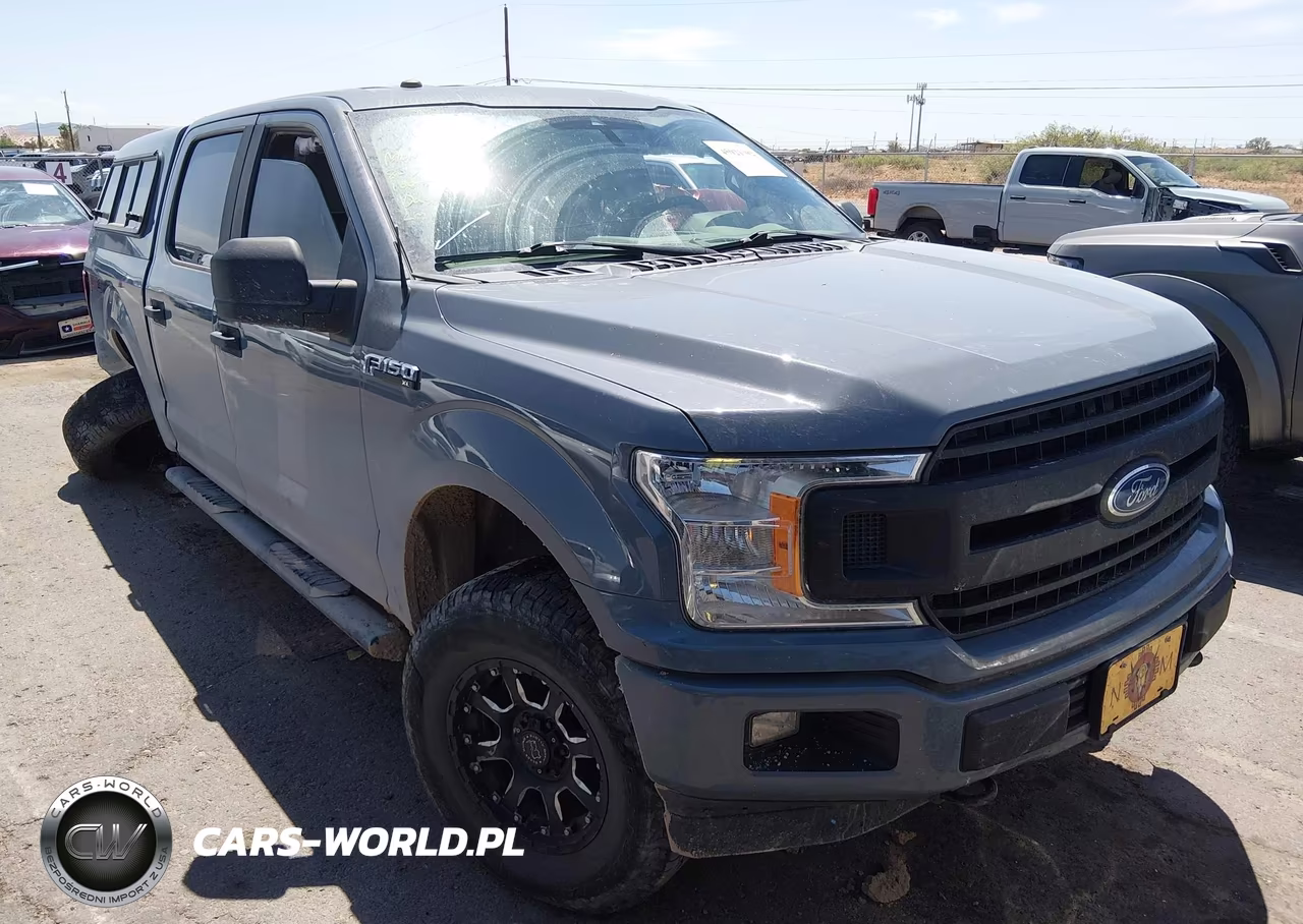 2019 Ford F-150 Xl – zdjęcie 1 z 16