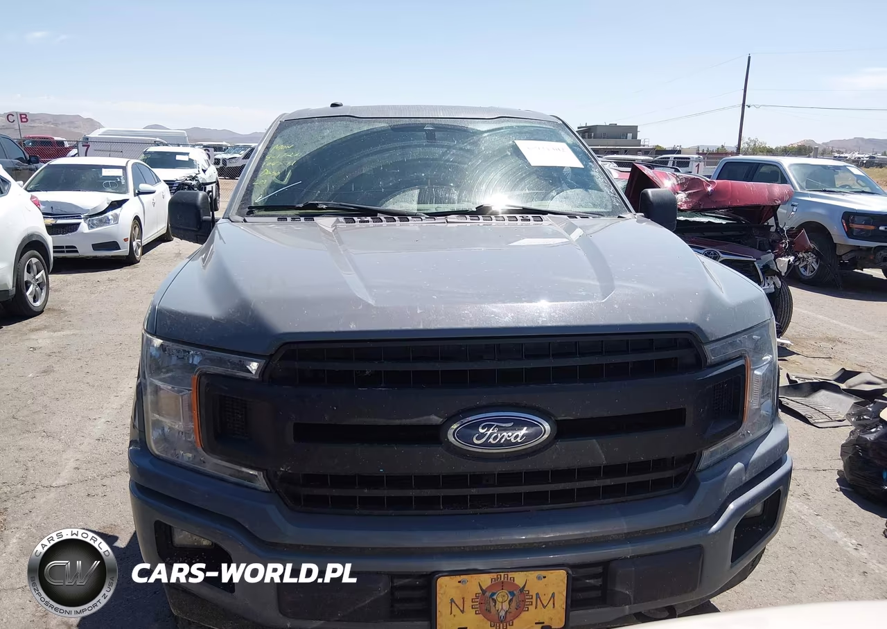 2019 Ford F-150 Xl VIN:1FTEW1E59KKE79766 - 12