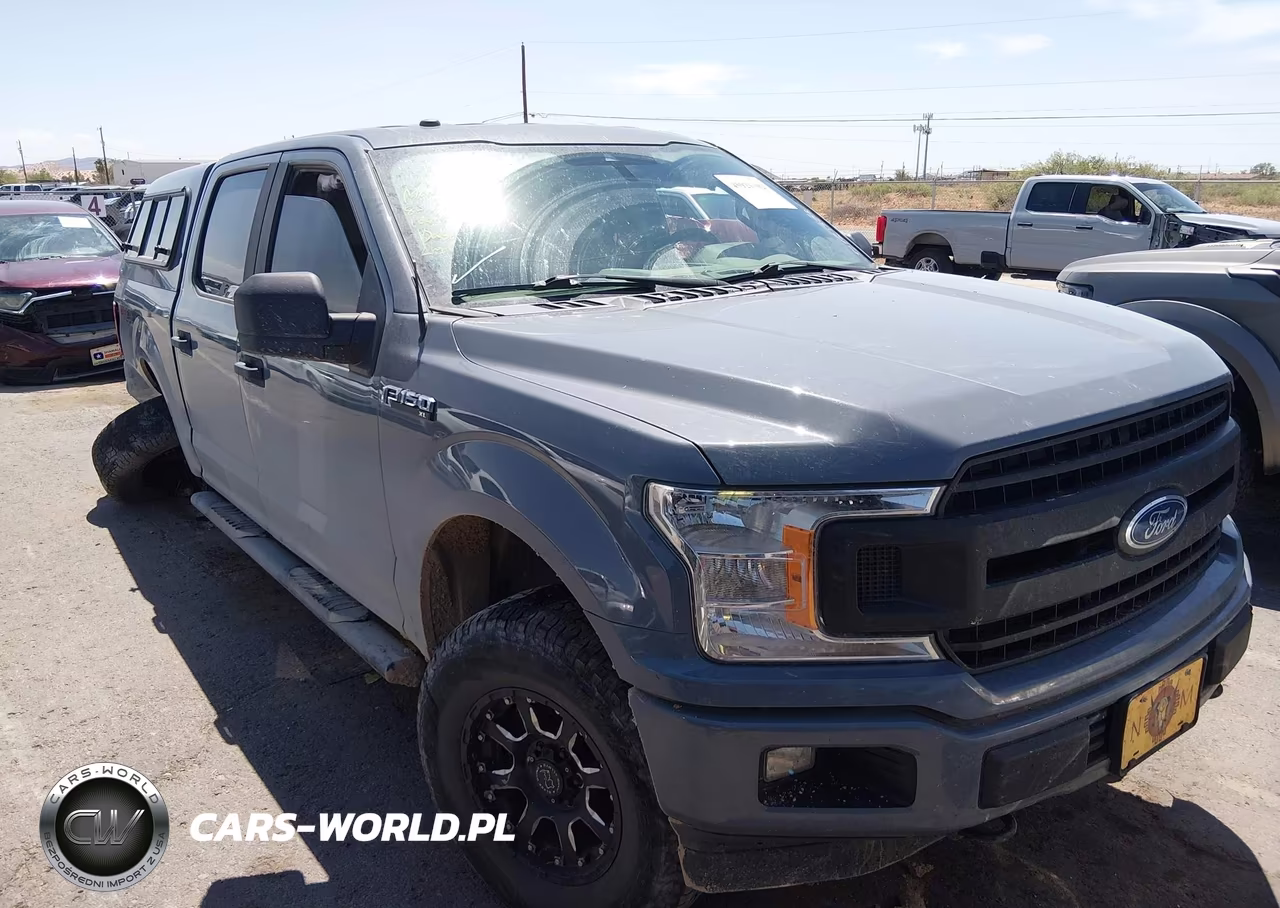2019 Ford F-150 Xl VIN:1FTEW1E59KKE79766 - 13