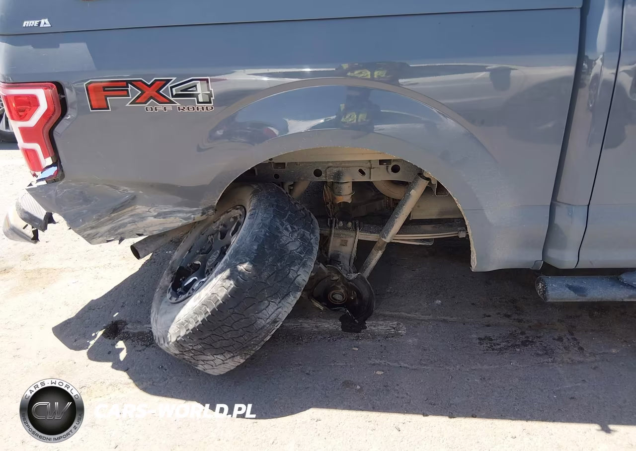 2019 Ford F-150 Xl VIN:1FTEW1E59KKE79766 - 6