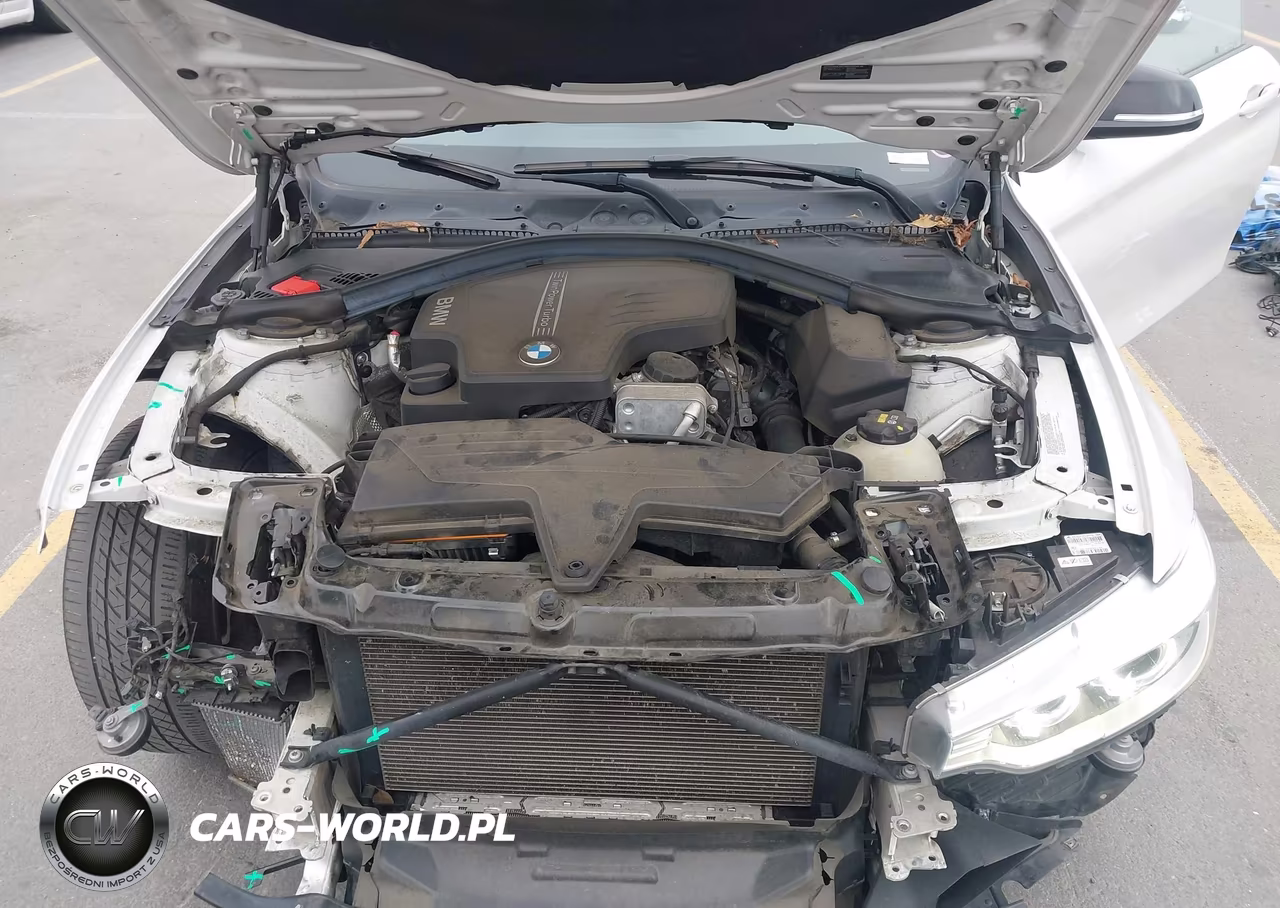 2014 BMW 428I VIN:WBA3N7C50EK221380 - 10