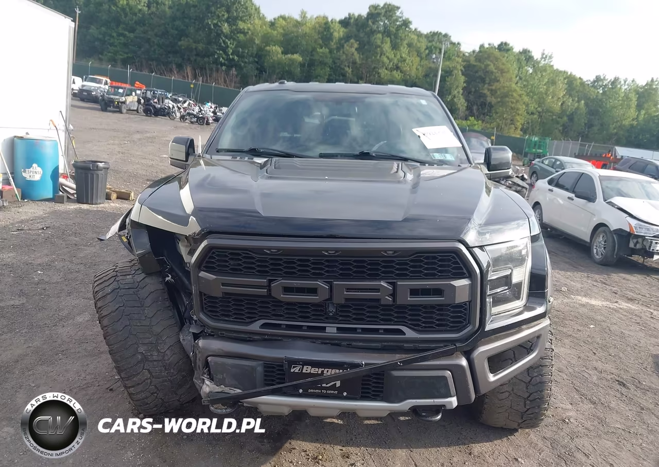 2017 Ford F-150 Raptor VIN:1FTFW1RGXHFA63047 - 12