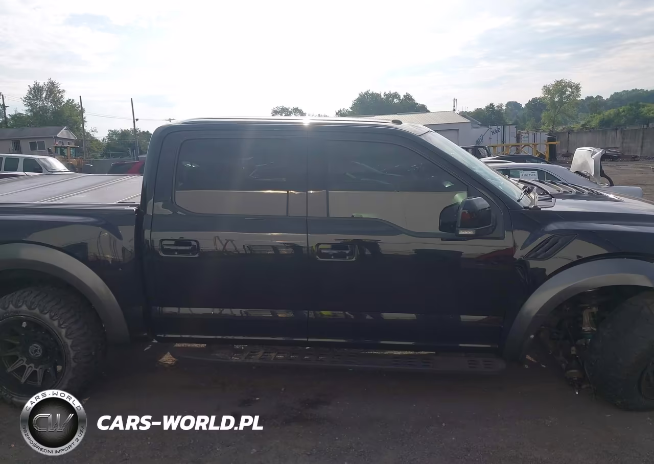 2017 Ford F-150 Raptor VIN:1FTFW1RGXHFA63047 - 13