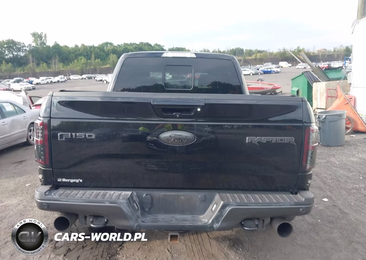 2017 Ford F-150 Raptor VIN:1FTFW1RGXHFA63047 - 16