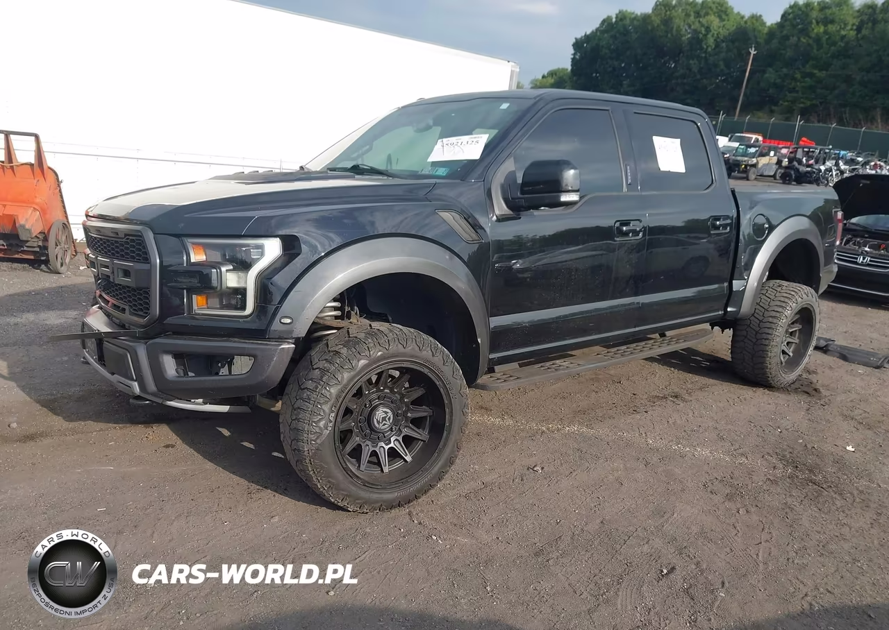 2017 Ford F-150 Raptor VIN:1FTFW1RGXHFA63047 - 2