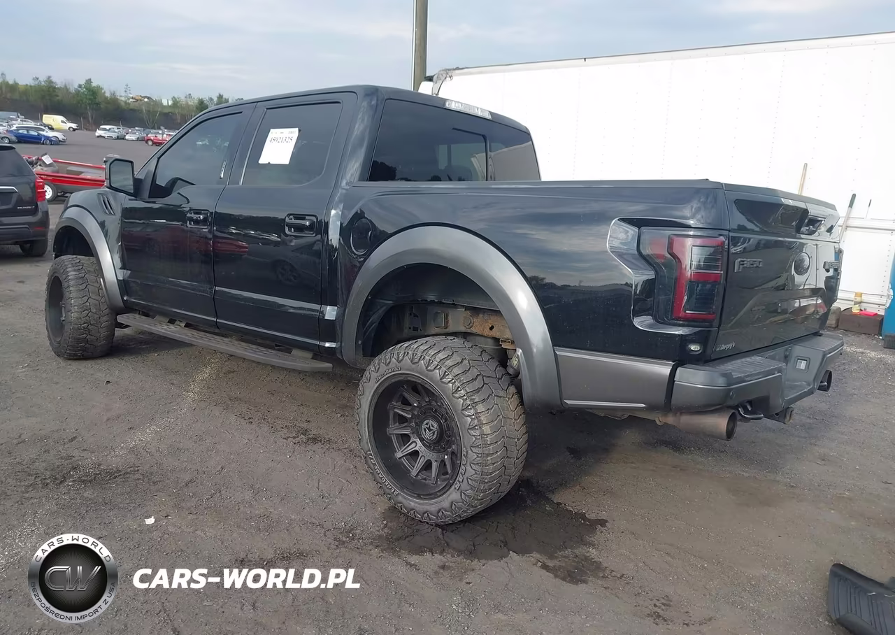 2017 Ford F-150 Raptor VIN:1FTFW1RGXHFA63047 - 3