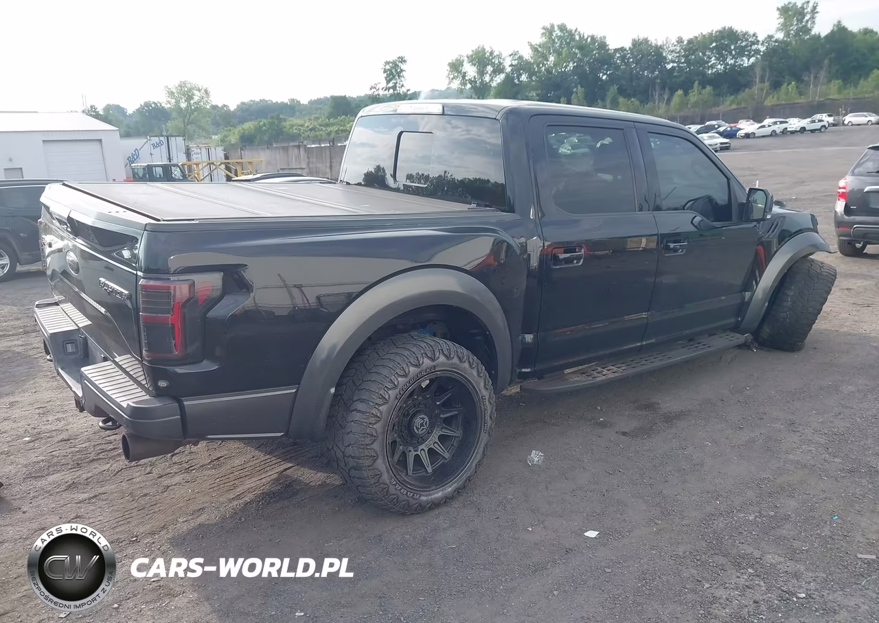 2017 Ford F-150 Raptor VIN:1FTFW1RGXHFA63047 - 4