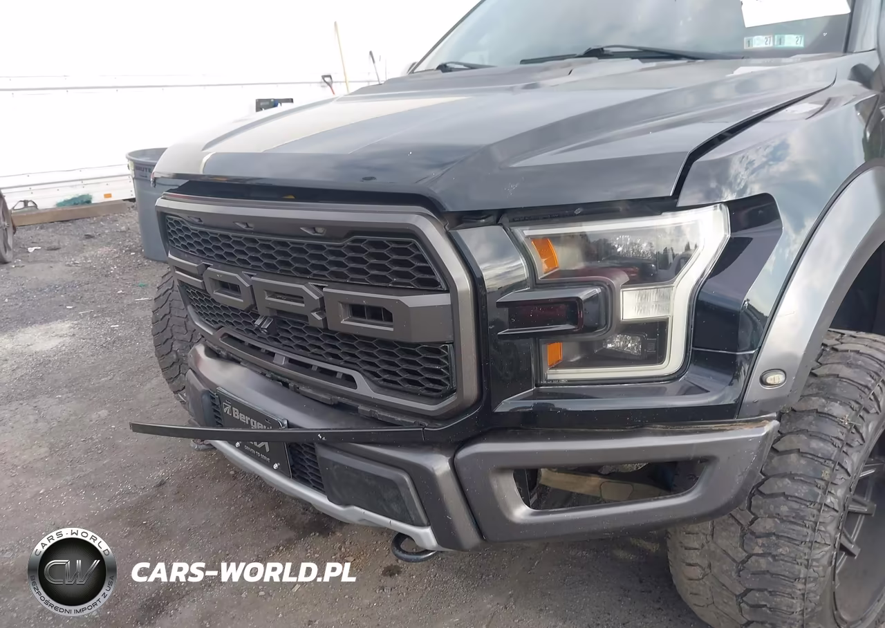 2017 Ford F-150 Raptor VIN:1FTFW1RGXHFA63047 - 6