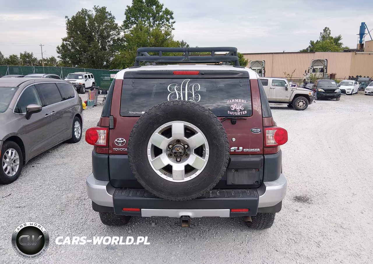 2010 Toyota Fj Cruiser VIN:JTEBU4BF6AK081061 - 17