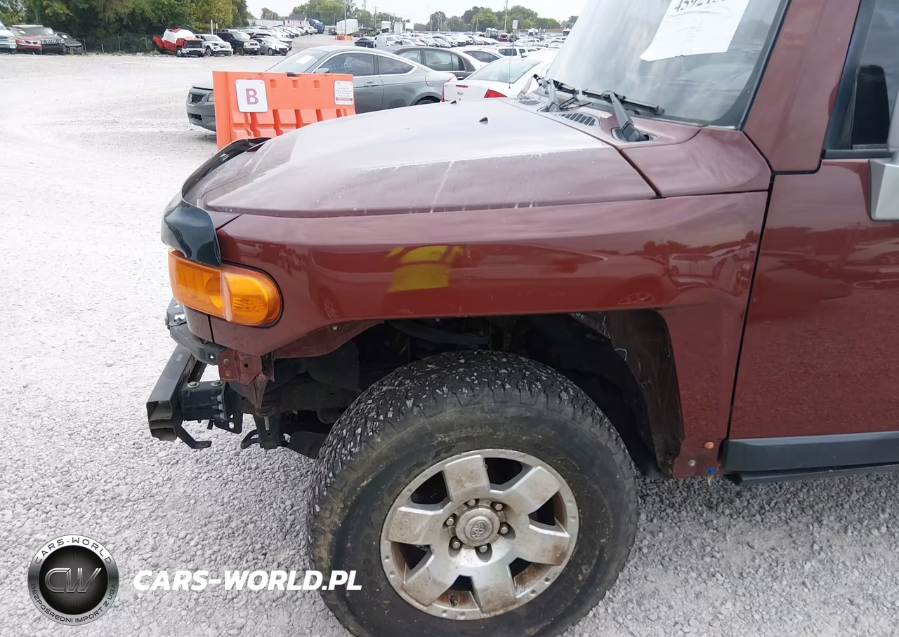 2010 Toyota Fj Cruiser VIN:JTEBU4BF6AK081061 - 20