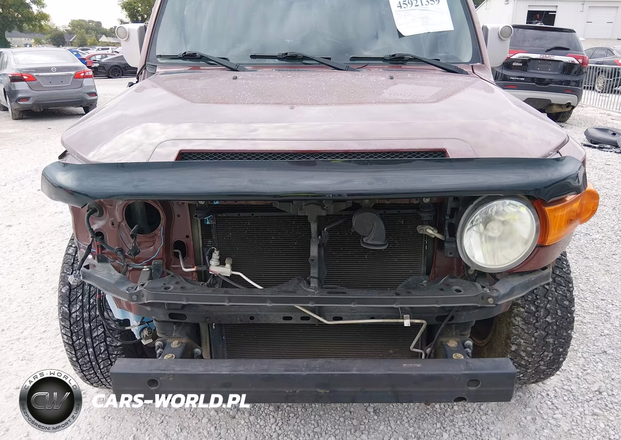 2010 Toyota Fj Cruiser VIN:JTEBU4BF6AK081061 - 6