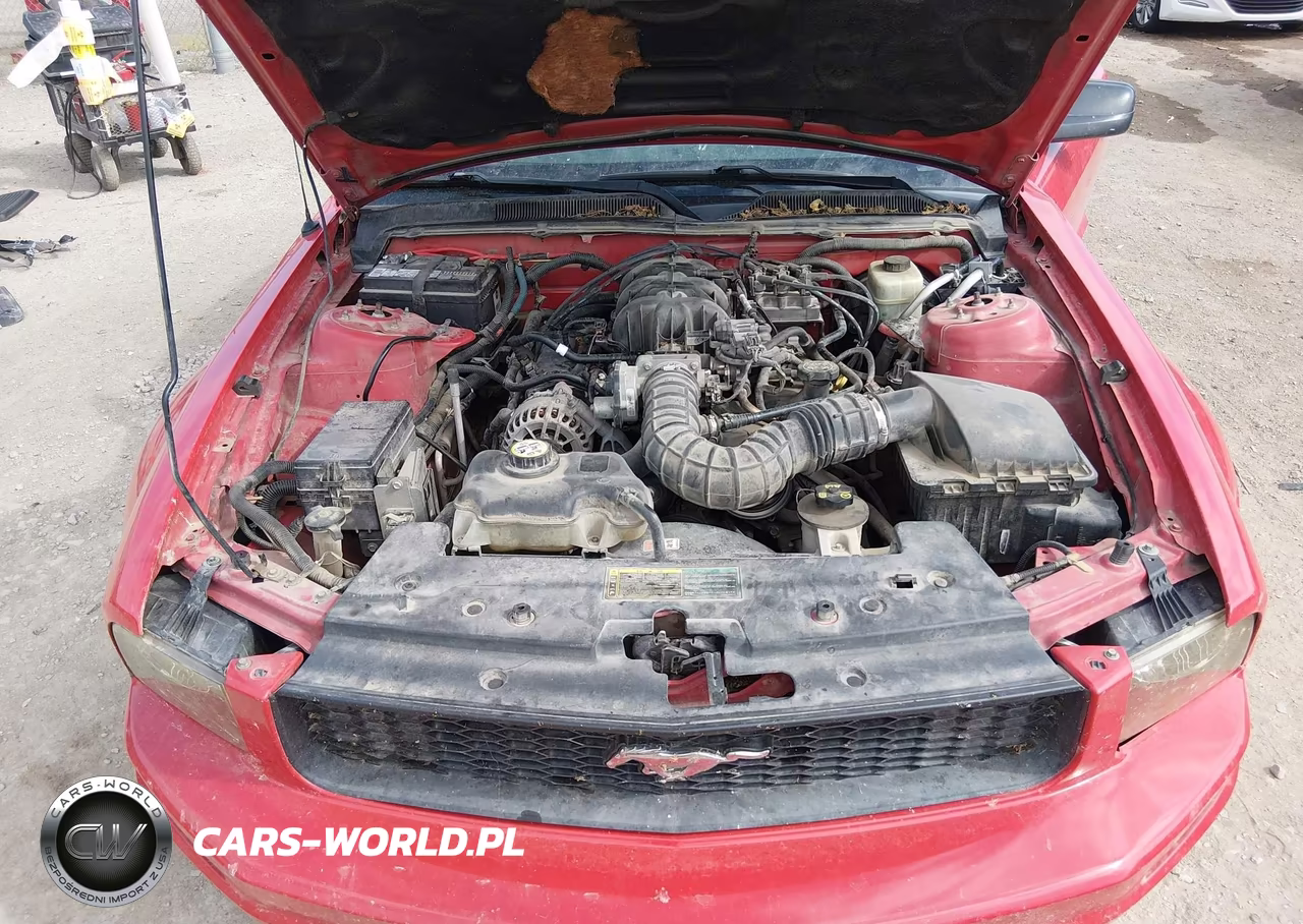 2006 Ford Mustang V6 VIN:1ZVFT80N265263661 - 10