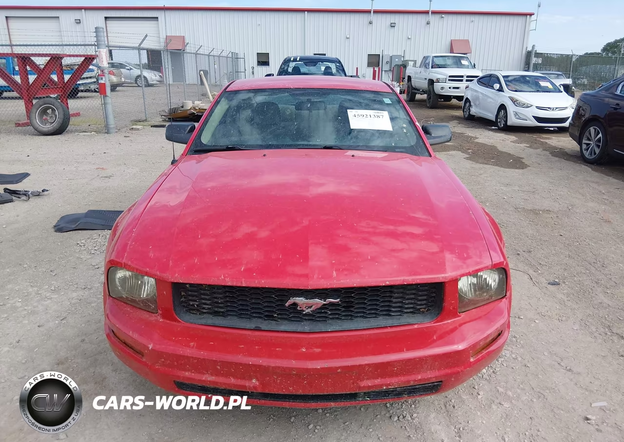 2006 Ford Mustang V6 VIN:1ZVFT80N265263661 - 12