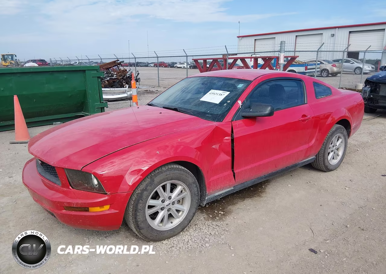 2006 Ford Mustang V6 VIN:1ZVFT80N265263661 - 2