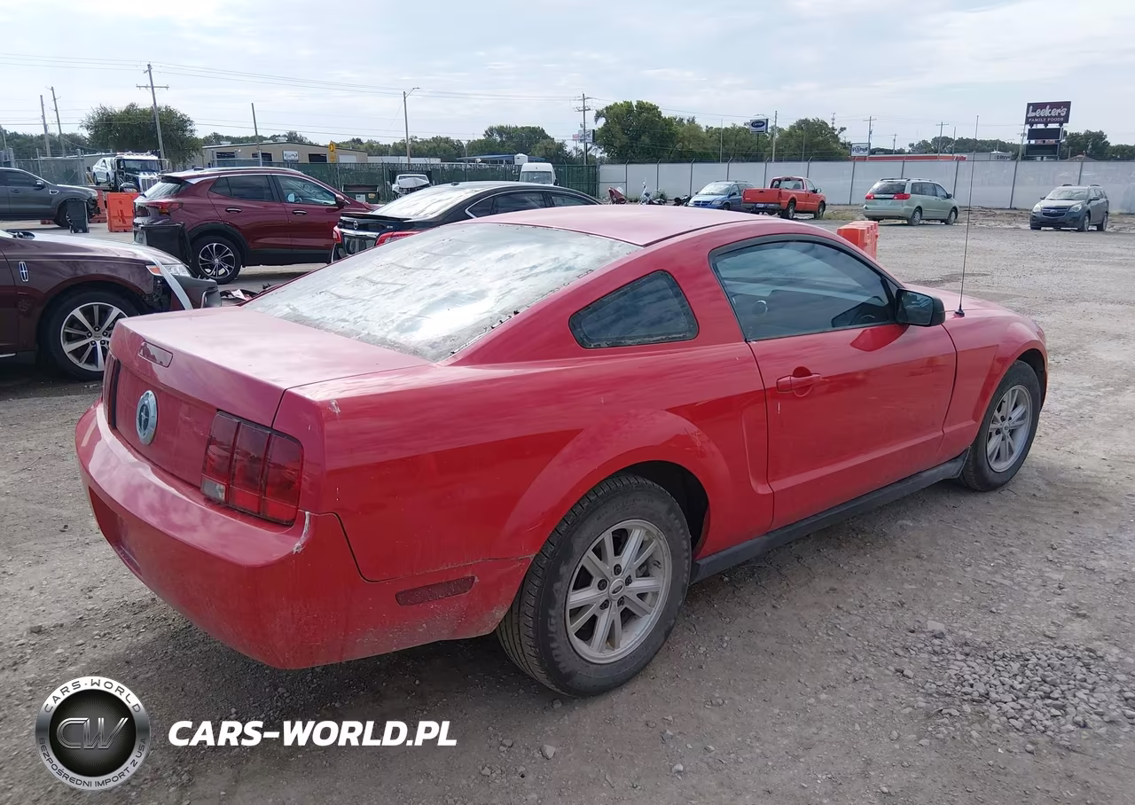 2006 Ford Mustang V6 VIN:1ZVFT80N265263661 - 4