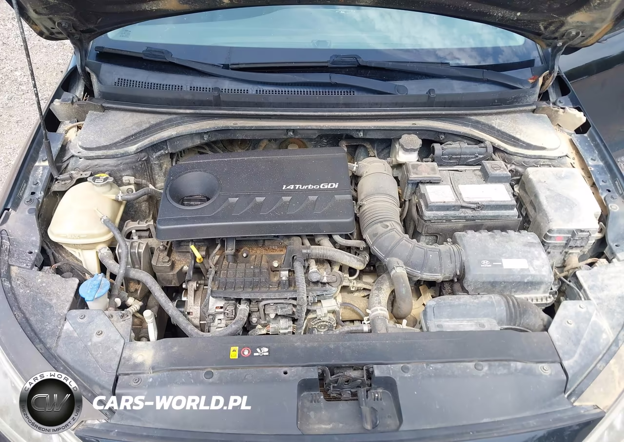 2019 Hyundai Elantra Eco VIN:5NPD94LAXKH459660 - 10