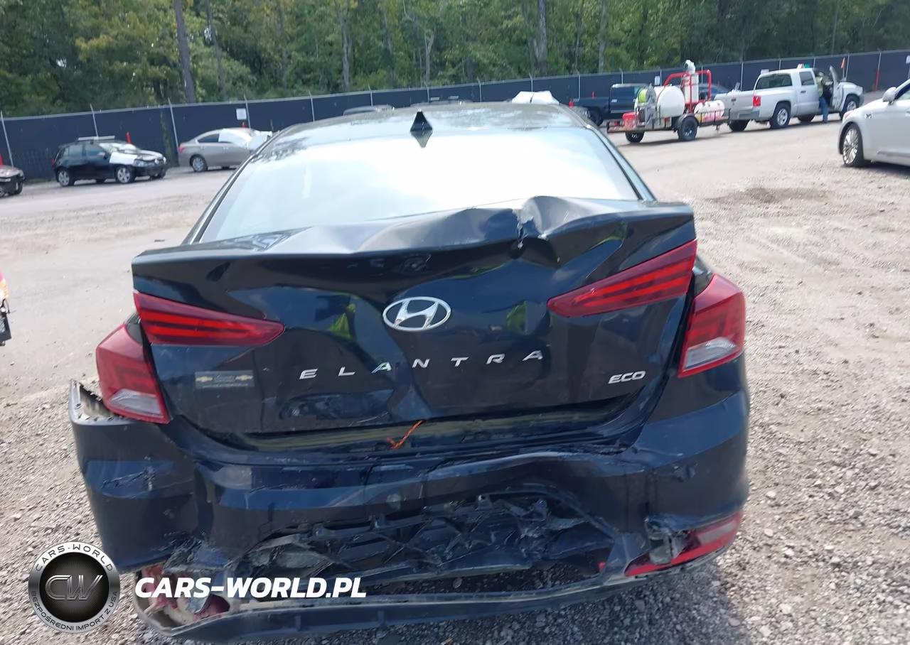 2019 Hyundai Elantra Eco VIN:5NPD94LAXKH459660 - 17
