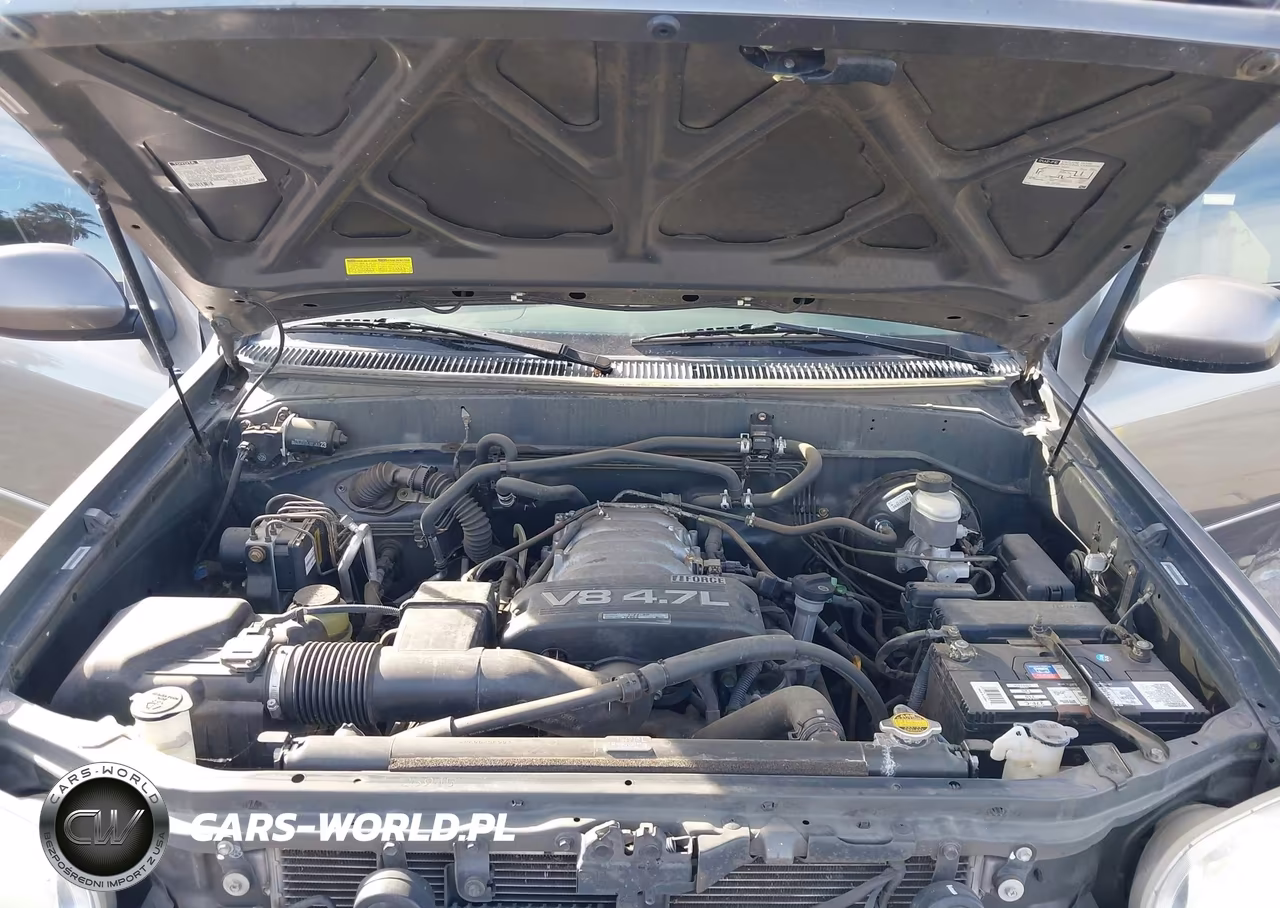 2004 Toyota Sequoia Limited V8 VIN:5TDZT38A04S207424 - 10