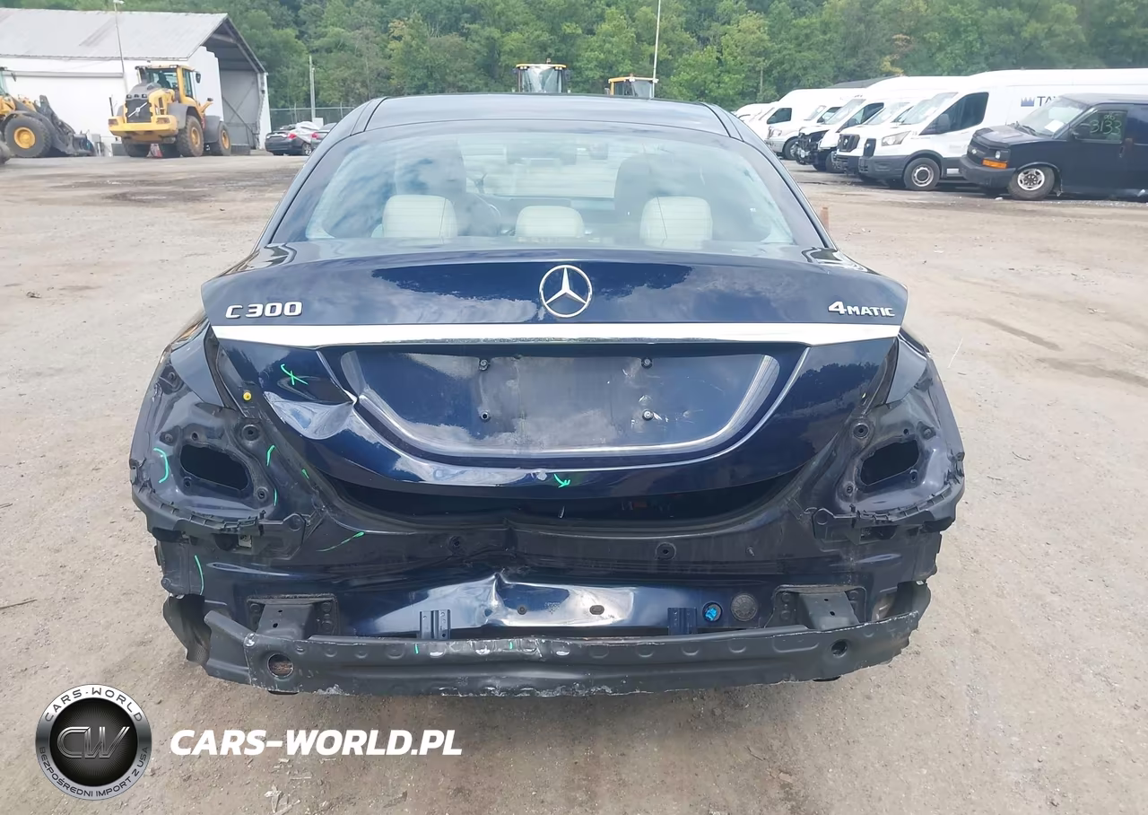 2020 Mercedes-Benz C 300 4Matic VIN:55SWF8EB4LU327684 - 17