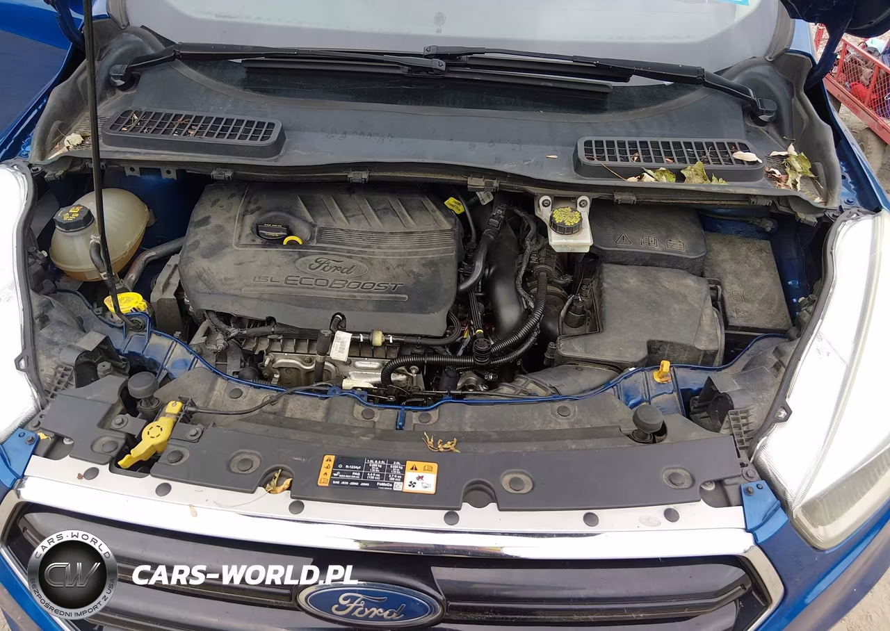 2017 Ford Escape Se VIN:1FMCU9GDXHUB88122 - 10