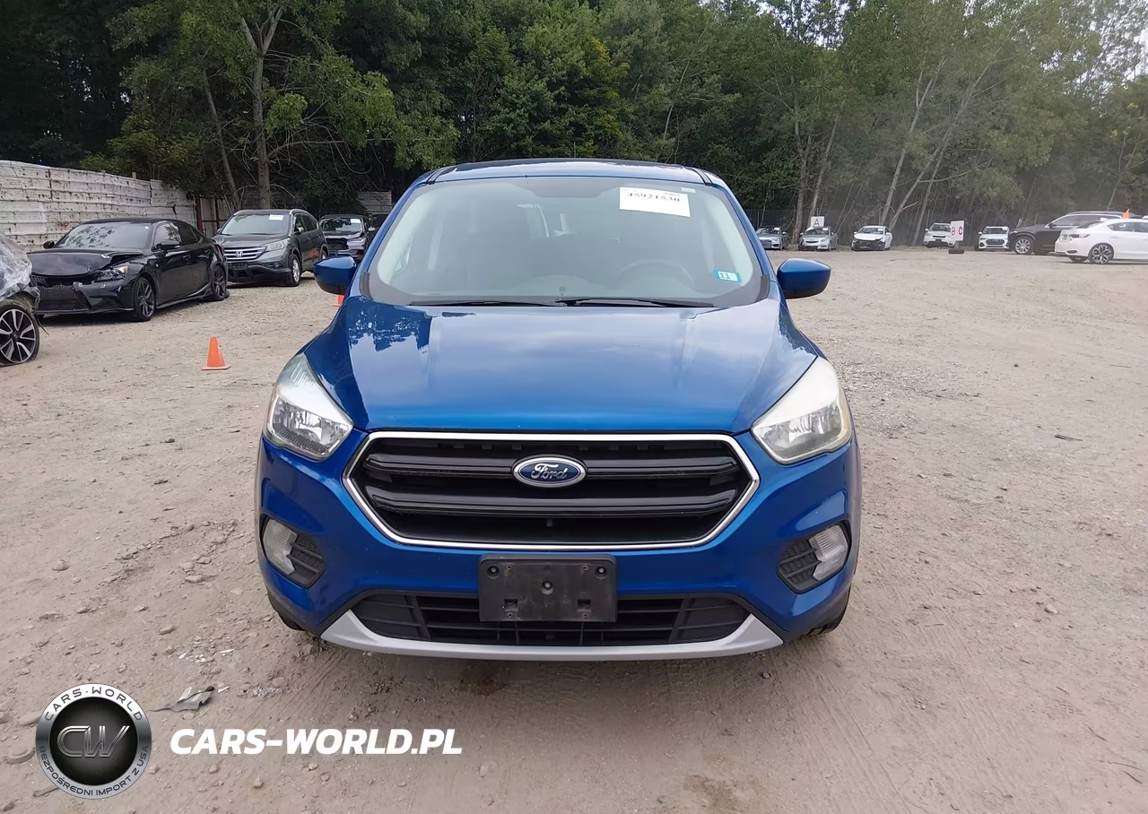 2017 Ford Escape Se VIN:1FMCU9GDXHUB88122 - 12
