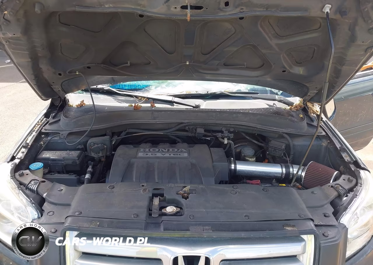 2006 Honda Pilot Ex VIN:2HKYF18496H529277 - 10
