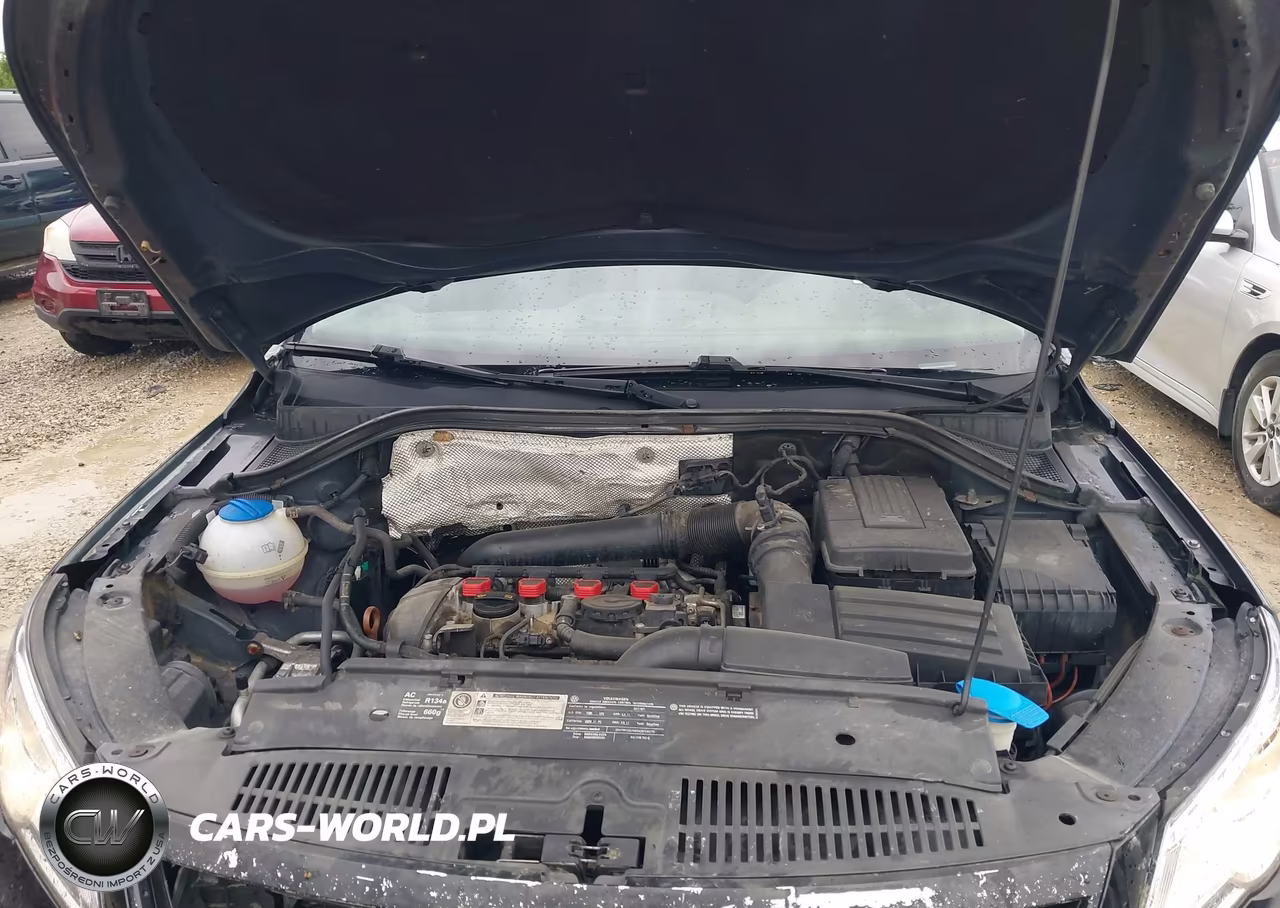 2010 Volkswagen Tiguan Wolfsburg Edition VIN:WVGBV7AX9AW515362 - 10