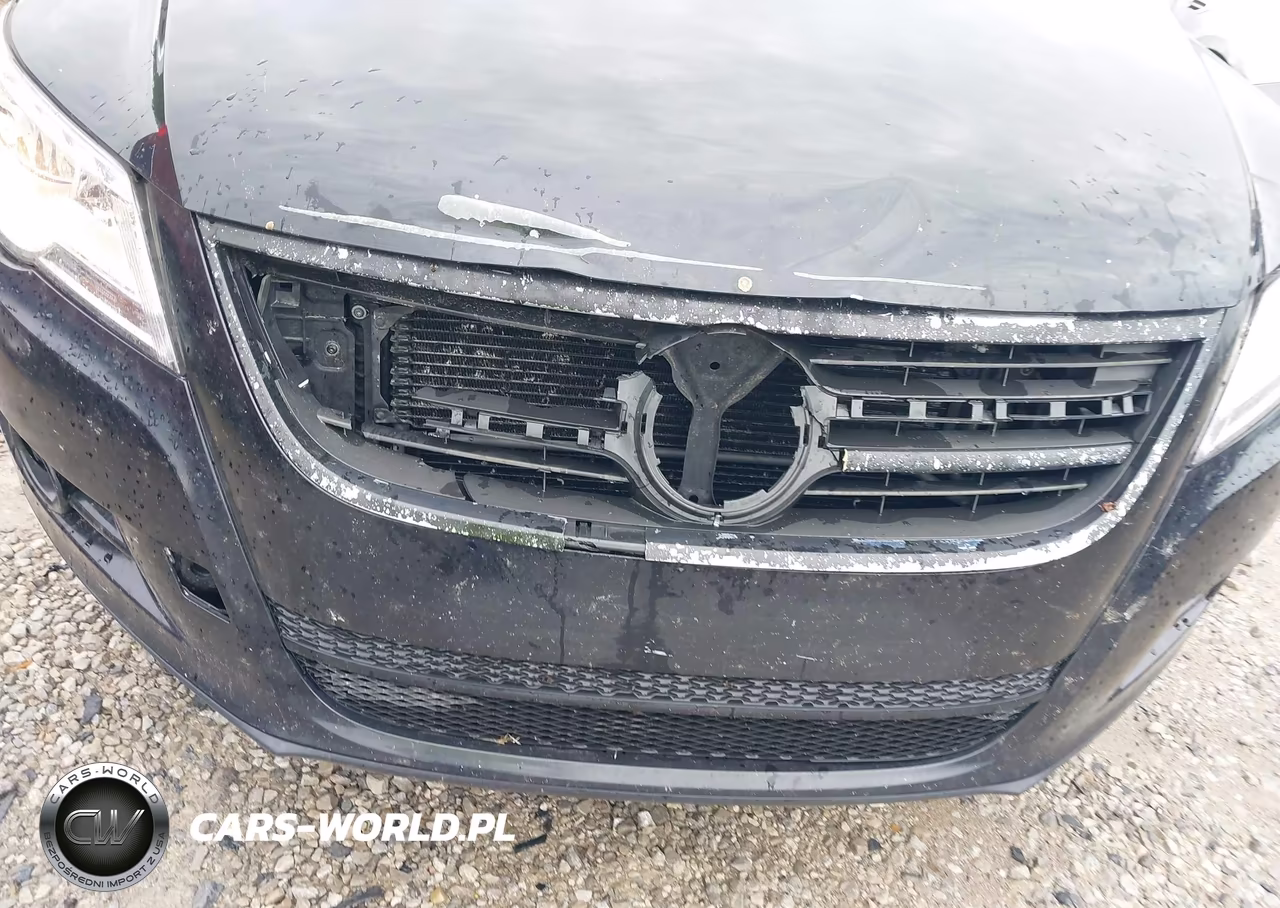 2010 Volkswagen Tiguan Wolfsburg Edition VIN:WVGBV7AX9AW515362 - 14