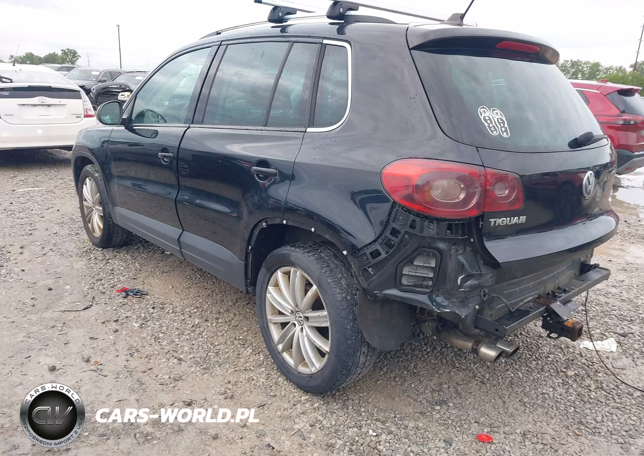 2010 Volkswagen Tiguan Wolfsburg Edition VIN:WVGBV7AX9AW515362 - 3