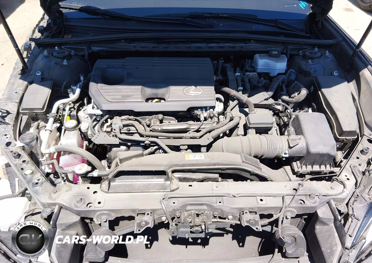 2024 Lexus Es 300H VIN:58ADA1C14RU043792 - 10