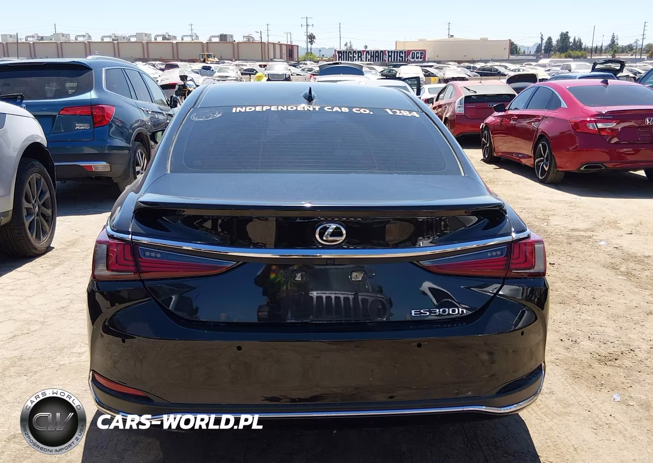 2024 Lexus Es 300H VIN:58ADA1C14RU043792 - 17