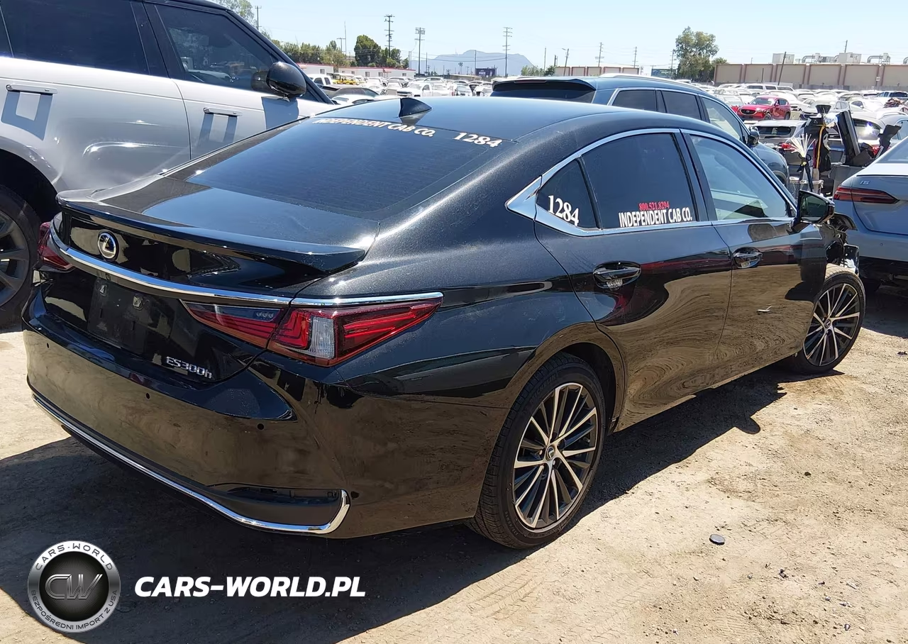 2024 Lexus Es 300H VIN:58ADA1C14RU043792 - 4