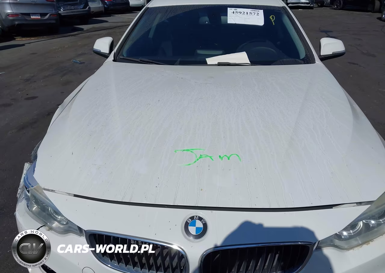 2015 BMW 428I VIN:WBA3N7C58FK223962 - 17
