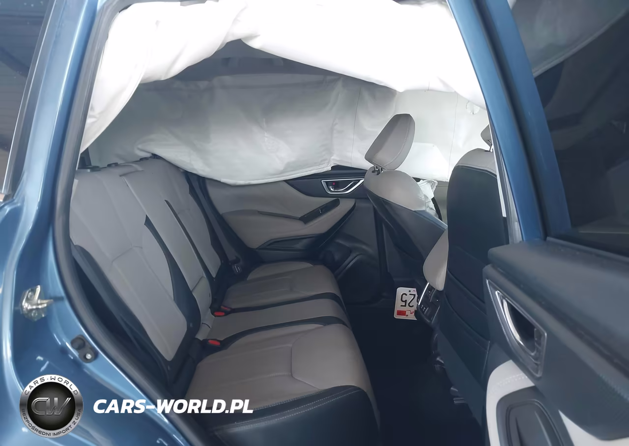 2019 Subaru Forester Limited VIN:JF2SKASCXKH514394 - 8