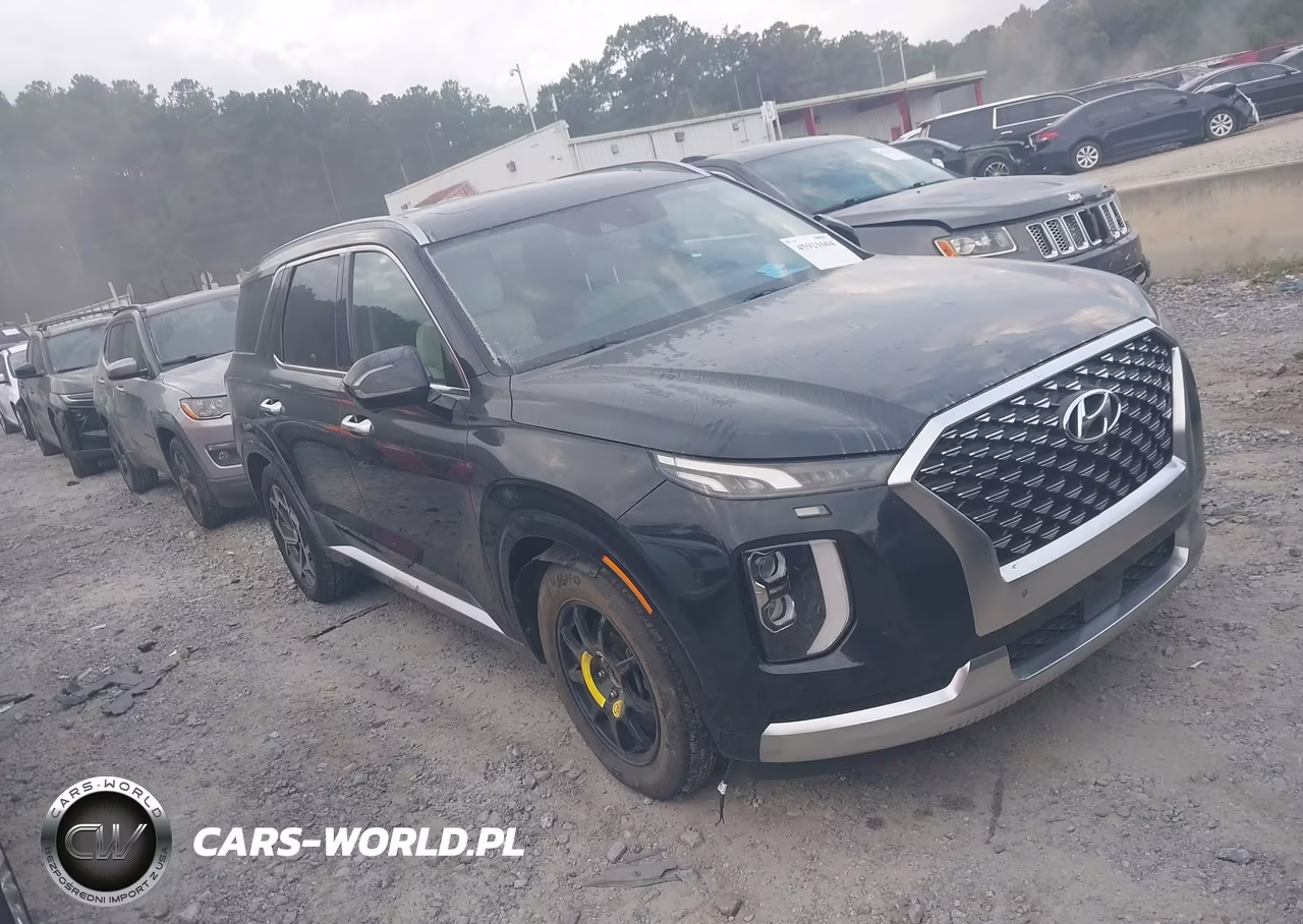 2021 Hyundai Palisade Calligraphy VIN:KM8R7DHE2MU172955 - 1